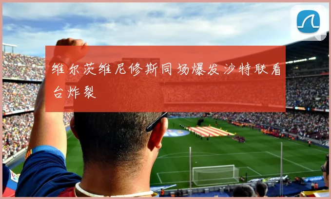 维尔茨维尼修斯同场爆发沙特联看台炸裂