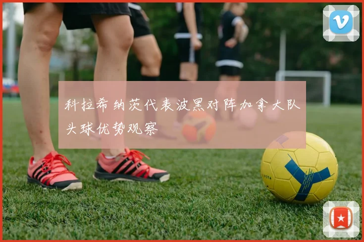 科拉希纳茨代表波黑对阵加拿大队头球优势观察