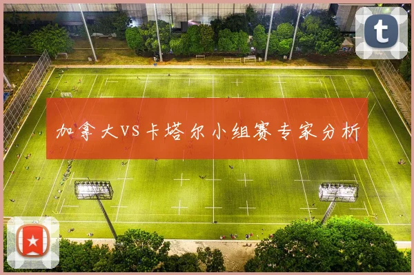 加拿大vs卡塔尔小组赛专家分析