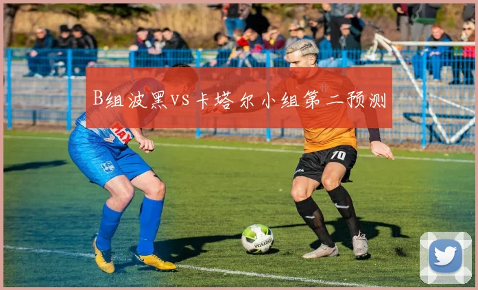 B组波黑vs卡塔尔小组第二预测