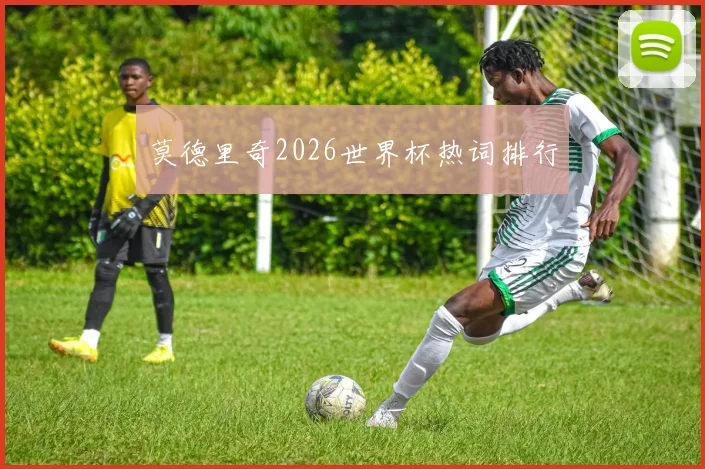 莫德里奇2026世界杯热词排行
