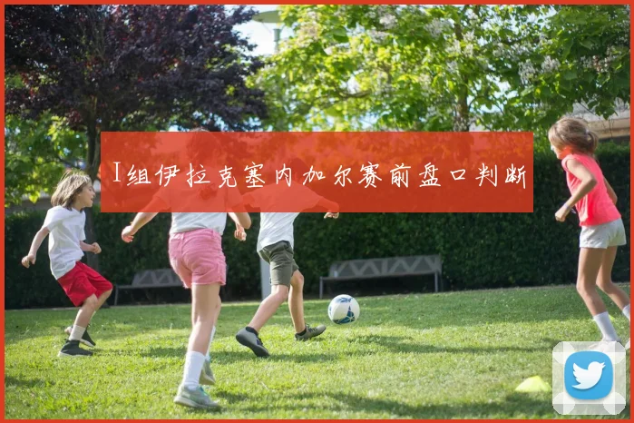 I组伊拉克塞内加尔赛前盘口判断