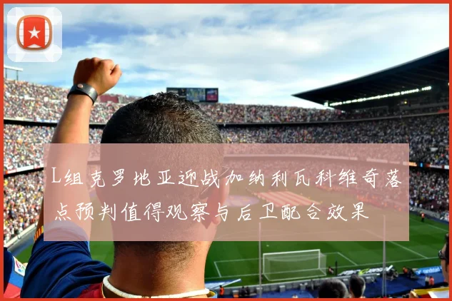 L组克罗地亚迎战加纳利瓦科维奇落点预判值得观察与后卫配合效果