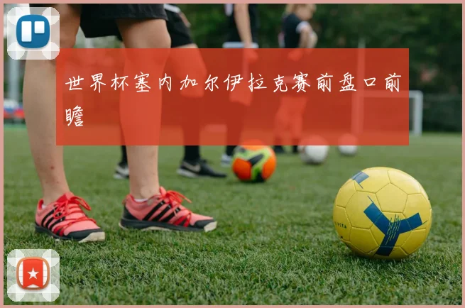 世界杯塞内加尔伊拉克赛前盘口前瞻