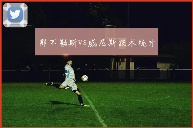 那不勒斯vs威尼斯技术统计