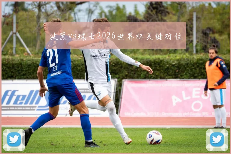 波黑vs瑞士2026世界杯关键对位