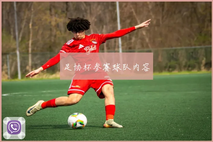 足协杯参赛球队内容